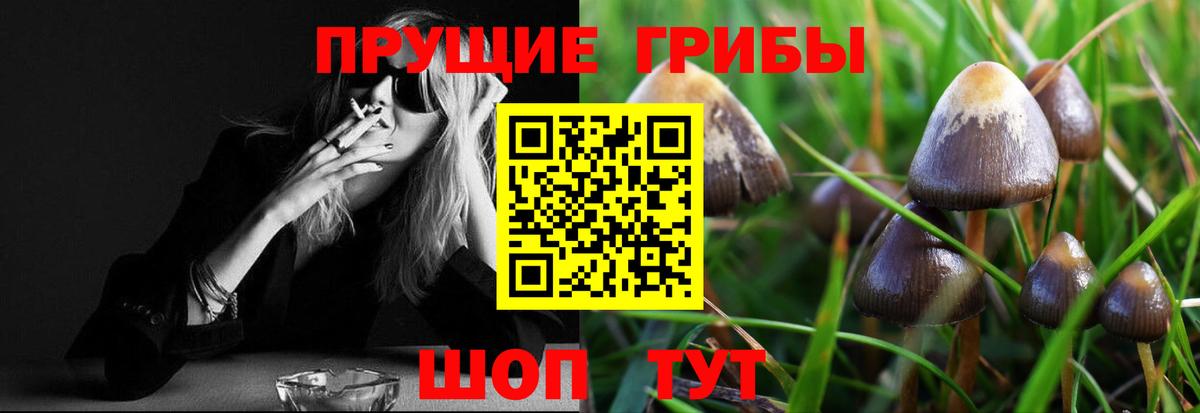Галлюциногенные грибы MAGIC MUSHROOMS Губаха